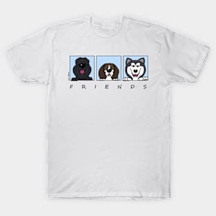 Friends T-Shirt